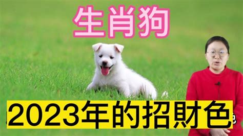 生肖狗 幸運色|【屬狗的幸運顏色】解開2024屬狗幸運色之謎！提升。